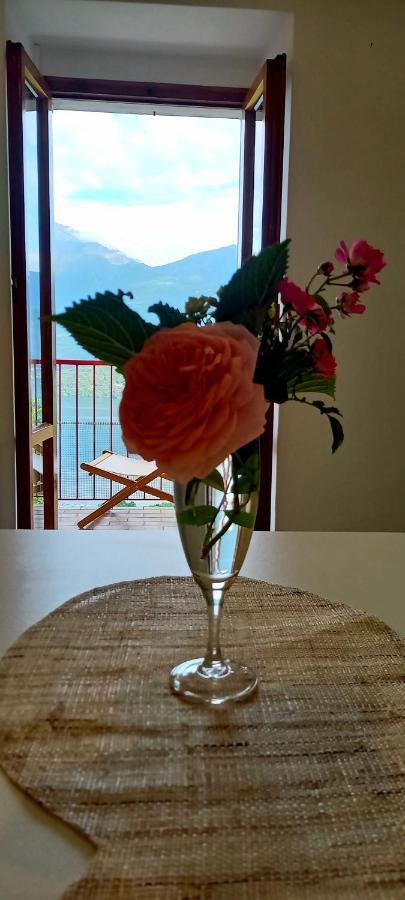 Viewtiful Homestay Stazzona Exterior foto
